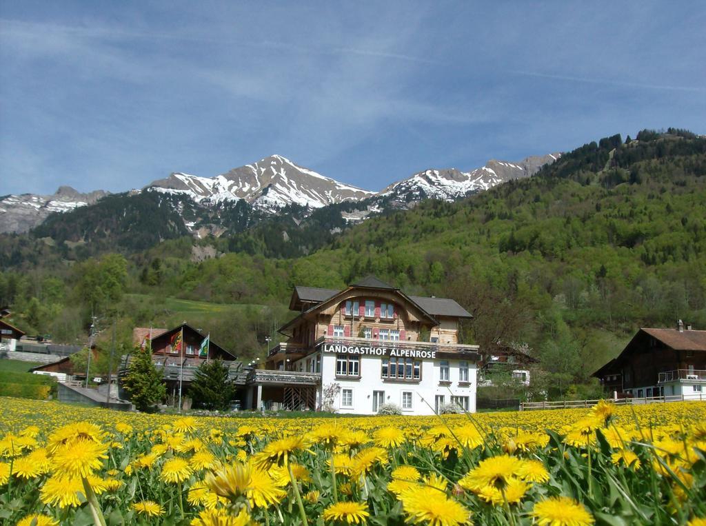 Hofstetten bei Brienz Hotel Alpenrose Beim Ballenberg المظهر الخارجي الصورة