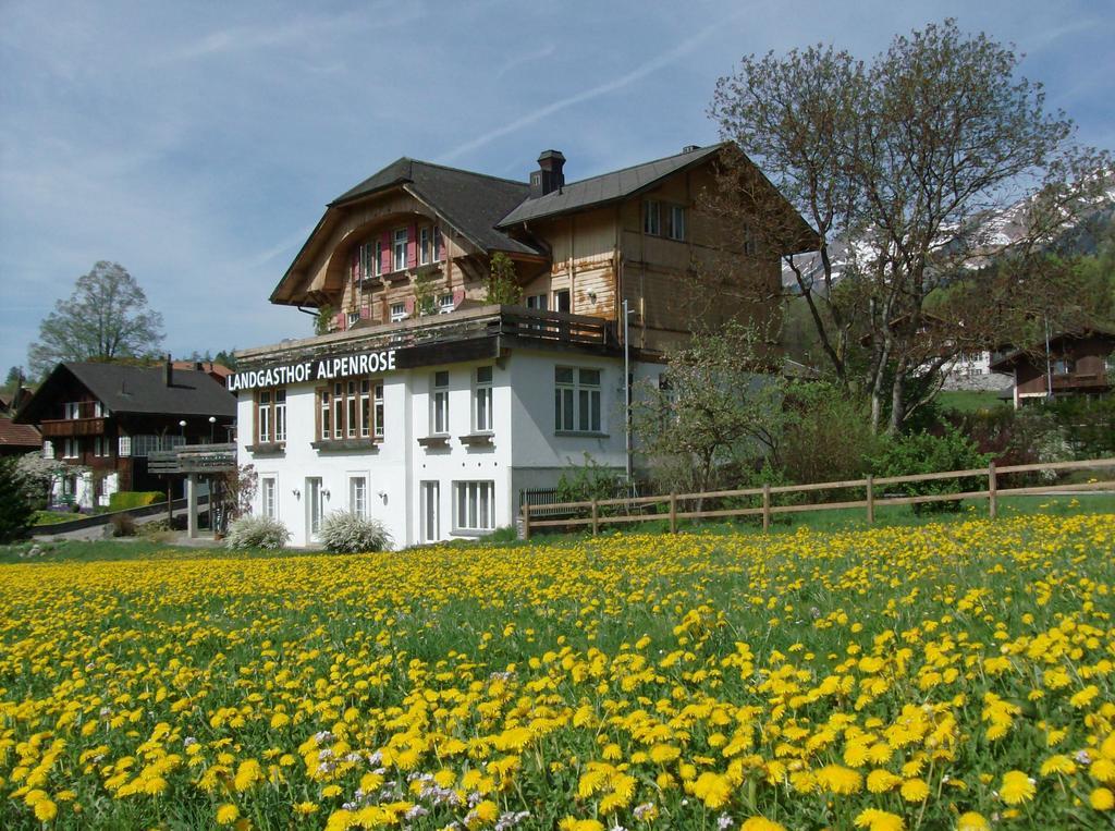 Hofstetten bei Brienz Hotel Alpenrose Beim Ballenberg المظهر الخارجي الصورة